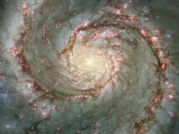 Vgfd Gfd фото №1