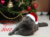 Фотография Холоденко Марии