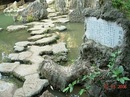 秀婷 杨 фотография #9 (источник - https://vk.com/id142615994)