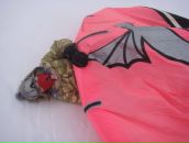 Фотография Дракиной Ольги