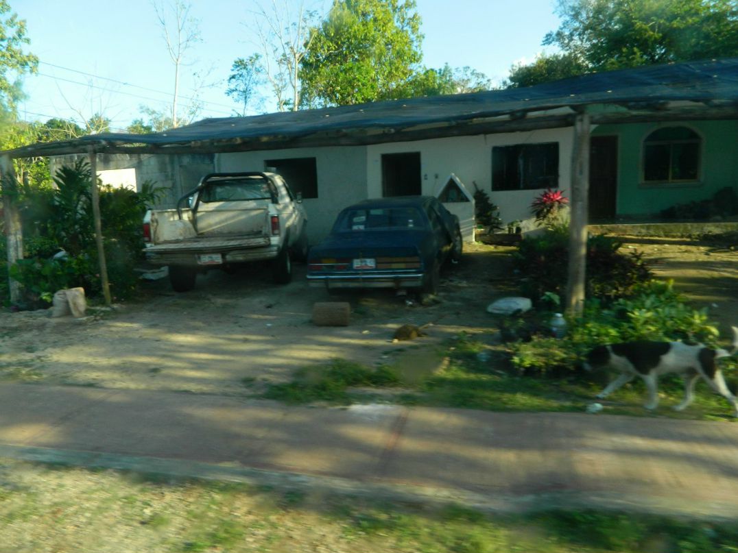 Дмитрий Новгородов фотография #31
