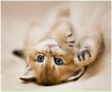 Фотография Балакшеев Максим