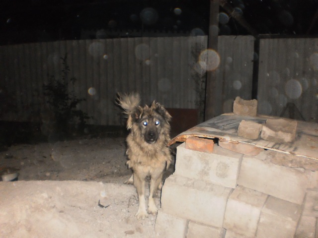 Максим Борисюк фотография #10