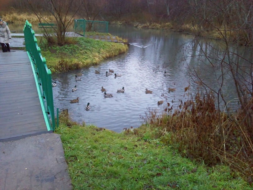 Игорь Владимирович фотография #42