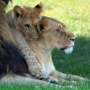 Фотография Шарафетдиновой Муж