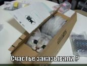 Фотография Фролова Бориса