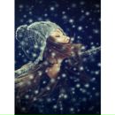 Фотография Ильюченко Кристины