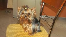 Фотография Ковров Натальи