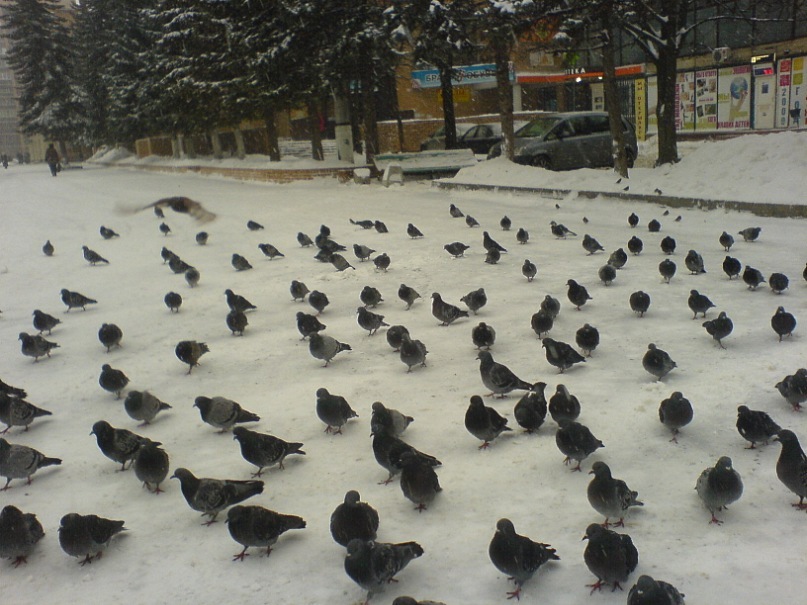 Den Прудников фотография #4