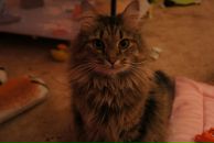 Фотография Slyozkina Galina