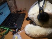 Фотография Литвиновой Софьи