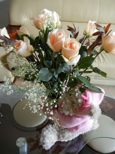 №16, Anastasija Oliynuk №16, Anastasija Oliynuk