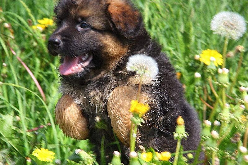 Игорь Феденко фотография #50