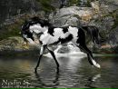 Фотография Милёхиной Даши