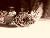 Фотография Станиславовны Ирины