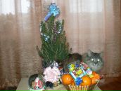 Фотография Мироновой Татьяны