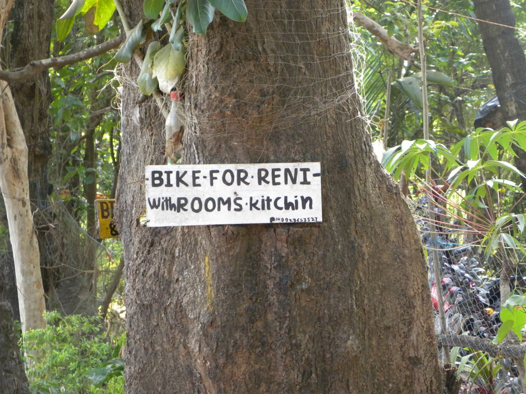 Лев Мышкин фотография #30