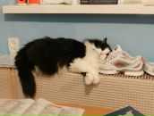 Фотография Сусловой Ксении