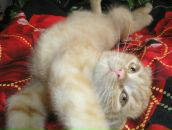 Фотография Наумовой Екатерины