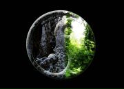 Фотография Лукьянчука Александра