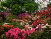 Alexey Dushen фотография #27 (источник - https://vk.com/id670180)