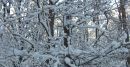 Фотография Хабаровой Елены