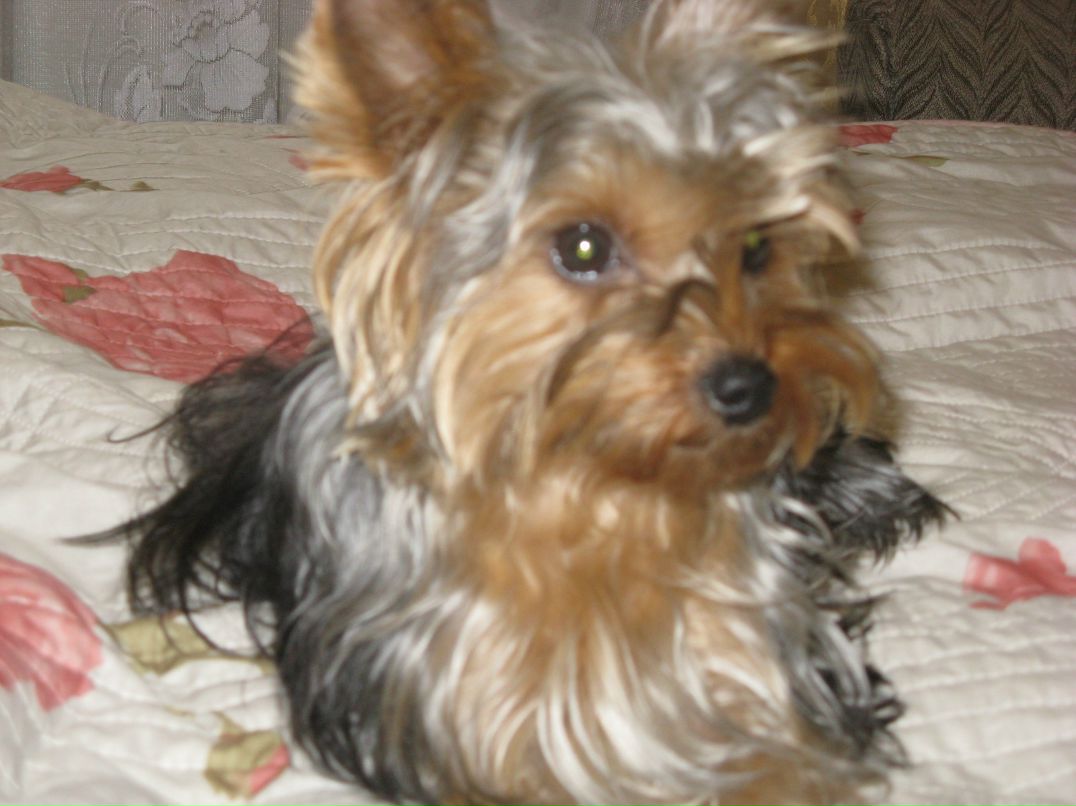 Вован Sid фотография #47