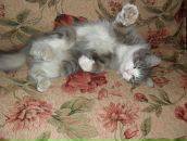 Фотография Яруничевой Маши