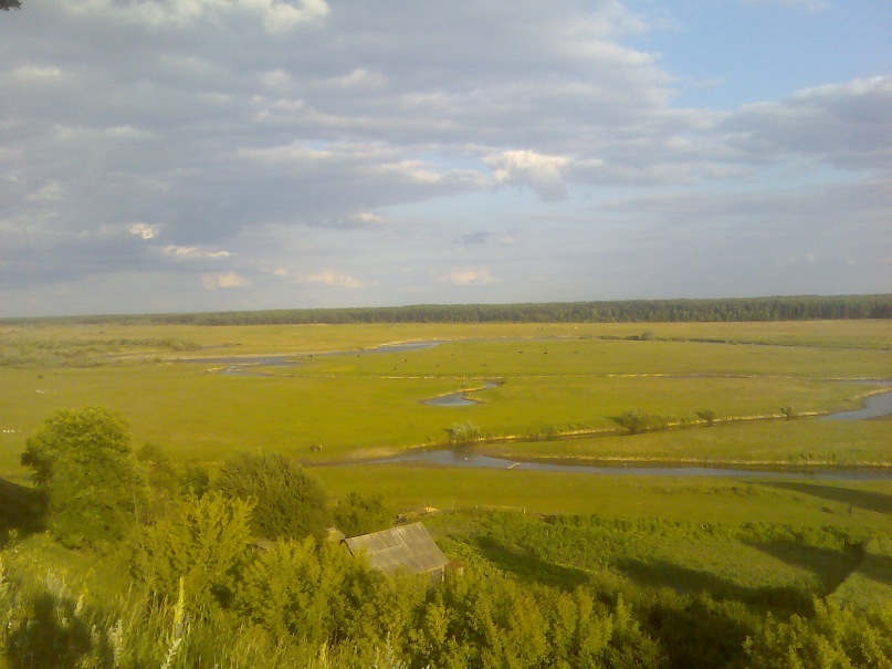 Дмитро Кушнір фотография #14