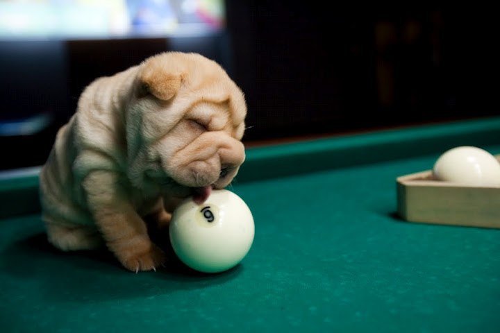 Максим Коваленко фотография #22