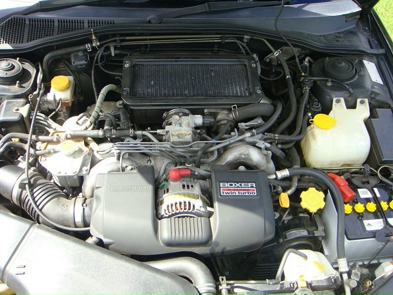 Дмитрий Чагочкин фото №43