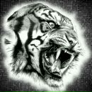 Фотография Татариса Наримана