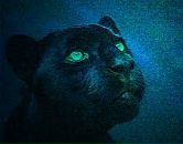 Фотография Окуловой Екатерины