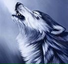 Фотография Шестакова Ромы