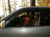 Фотография Клеван Ольга