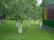 Руслан Пилипчук фотография #26 (источник - https://vk.com/id112633594)