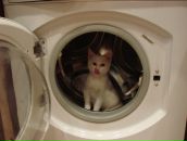 Дмитрий Вдовин фотография #6 (источник - https://vk.com/id636001)