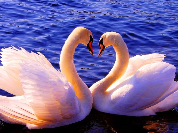 Ольга Собор фотография #23