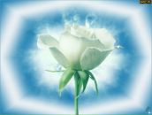 Дзвенислава Трохименко фотография #5 (источник - https://vk.com/id11668267)