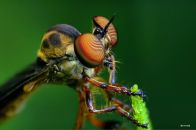 Віктор Якубовський фотография #34 (источник - https://vk.com/id8578390)