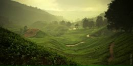 Фотография Силкиной Евгении