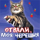 Олександр Хозінський фотография #5 (источник - https://vk.com/id139086826)