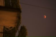 Alpha Psychedelious фотография #24 (источник - https://vk.com/id85287744)