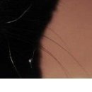 Viki @@@@@@@@@ фотография #26 (источник - https://vk.com/id141663195)