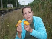 Фотография  