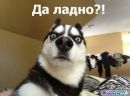 Михан-Вау Царёв фотография #17 (источник - https://vk.com/id159246599)