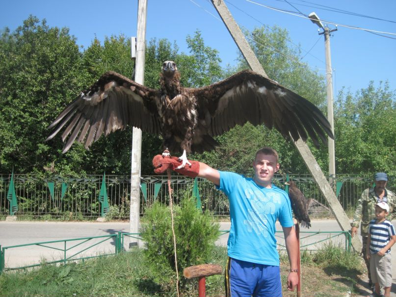 Дмитрий Лебедев фотография #29