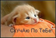 Фотография Михайловой Натальи