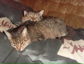 Фотография Подлецких Аленушки