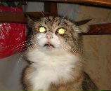 Фотография Петрищевой Татьяны